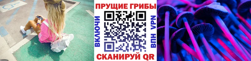 Галлюциногенные грибы Psilocybe  где купить   Спас-Деменск 